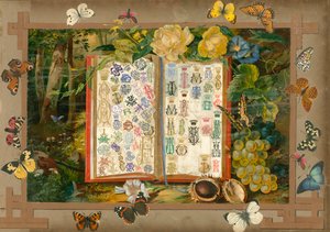 Sammelsurium Cilt VIII