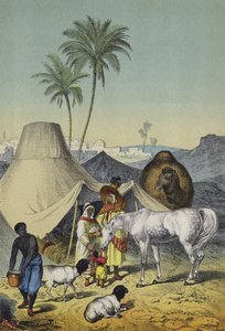 Kuzey Afrika ve Arabistan