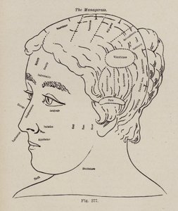 Phrenology, A Manageress (üyeler) by European School