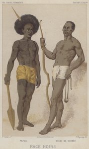 Siyah Irk, Papuan, Gine'den Siyah (chromolitho) by European School