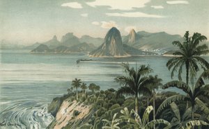 Rio de Janeiro, Brezilya (renkli taş) by European School