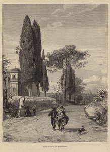 Cavi