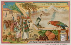 Bir Condor ve Papağan ve Karışık Kökenli Yerlilerle Sierra Nevada by European School