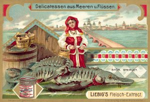 Mersin balığı (chromolitho) by European School