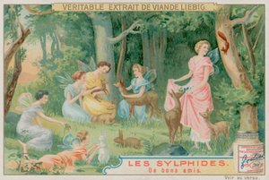 Sylphs ve Orman Hayvanları by European School