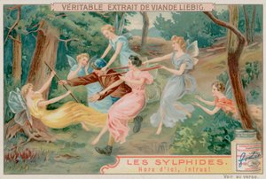 Sylphs ve Davetsiz Misafir by European School