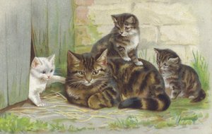 Üç yavrusu olan tekir kedi (chromolitho) by European School