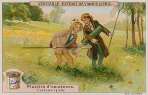 Amatör Entomolog by European School