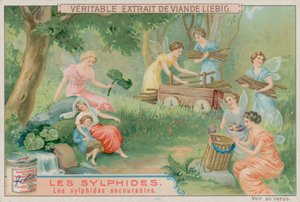 Yararlı Sylph