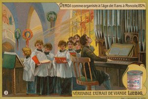 Verdi Roncole
