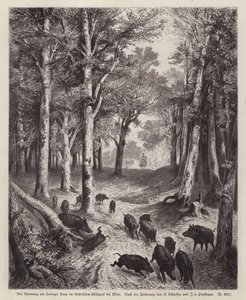 Viyana, Avusturya