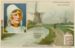 zelanda by European School