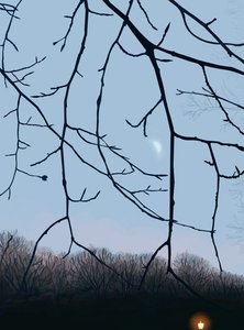  by Evan Sklar