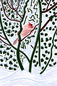  by Evan Sklar