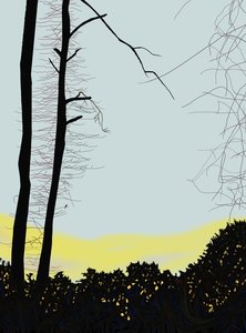  by Evan Sklar