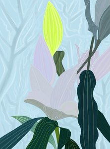  by Evan Sklar