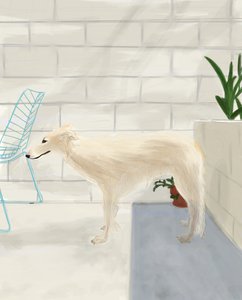  by Evan Sklar