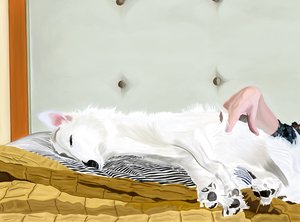  by Evan Sklar