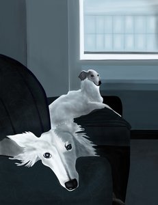  by Evan Sklar