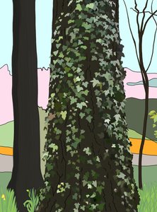  by Evan Sklar