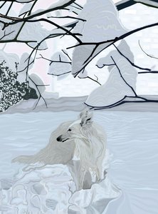 by Evan Sklar