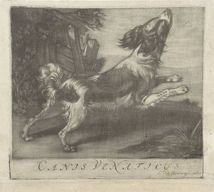 zıplayan köpek Canis Venaticus (nesne üzerindeki başlık) by Evert van Sweinen