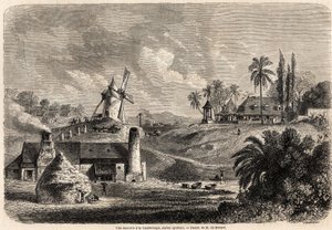Guadeloupe