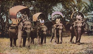 Siam, 1930