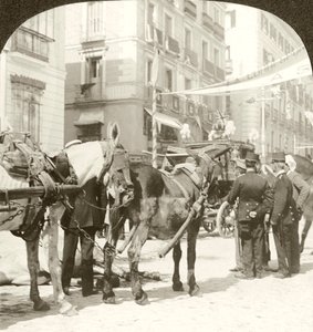 Devlet Koçu, Calle Mayor, Madrid.