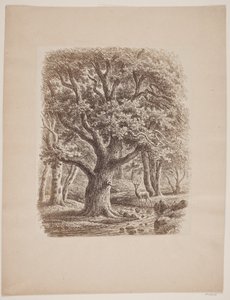 Bir dere ve bir geyik ile orman rüzgarları by F.C. Kiærskou