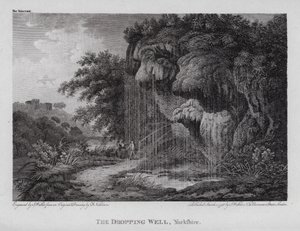 Damlayan Kuyu, Yorkshire (gravür) by F. (after) Nicholson