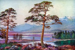 Loch Tulla, Black Mount, Argyllshire, İskoçya, 1924-1926.