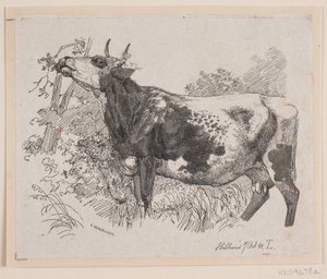 Bir ağaca dallarını döken bir inek by F. Hendriksen
