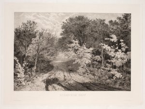 Borrevejle Ormanı by F. Larsen