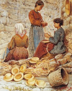 Toskana saman sallayıcıları (Trecciaiole)