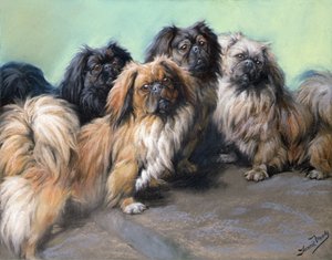 Şımarık Darlings (renkli tebeşir)