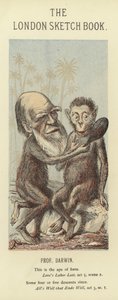 Charles Darwin