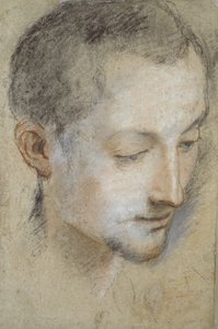Genç Bir Adamın Kafasının İncelenmesi (grimsi kağıt üzerinde siyah, kırmızı ve pembe tebeşirler) by Federico Barocci