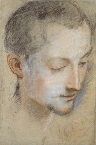 16. yüzyılın sonlarında genç bir adamın kafasının incelenmesi by Federico Barocci