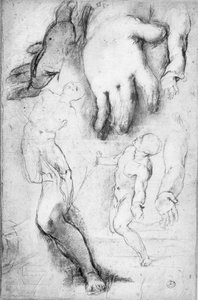 Aziz Francis figürü için çalışma (kağıt üzerinde tebeşir) by Federico Fiori Barocci or Baroccio