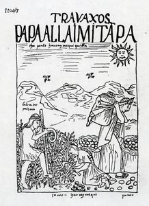 Patateslerin Hasat Edildiği Haziran Ayı by Felipe Huaman Poma de Ayala