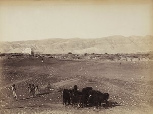Mısır