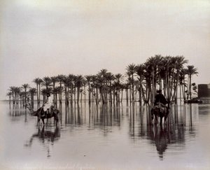 Nil, Mısır tarafından sular altında kalan bir Mısır çöl alanını geçerken deve üzerindeki adamlar by Félix Bonfils