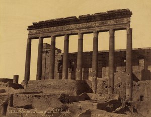 Palmyra, Suriye