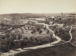 Rüzgar değirmeni ve zeytinliklerle dolu vadi manzarası by Félix Bonfils