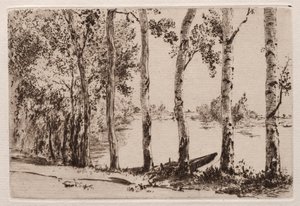 Seine kıyısında Aspens by Felix Bracquemond