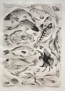 Akşam Yemeği Servisi (Rousseau servisi): Balık (no. 24) by Felix Bracquemond