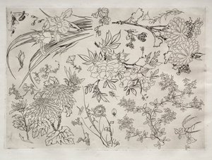 Akşam Yemeği Servisi (Rousseau servisi): Çiçekler (no. 23) by Felix Bracquemond