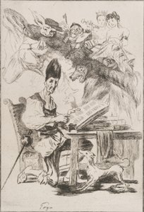 Don Kişot, 1860 by Felix Bracquemond