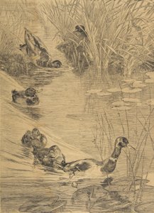 Ördek Eğlencesi, 1850-1914. by Felix Bracquemond